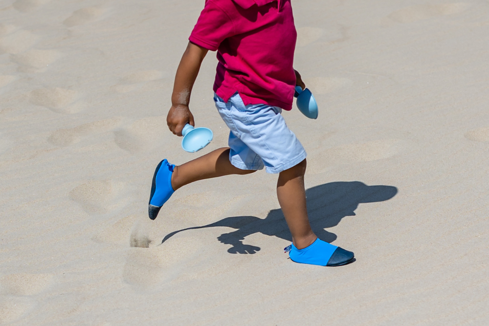 Les Petites Myrtilles
